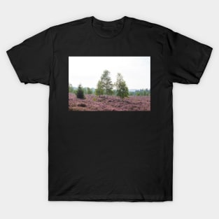 Heathland, morning mist, heather bloom, Niederhaverbeck T-Shirt